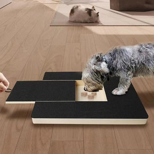 Pawzoa™ SmartScratch Dog Nail File Board