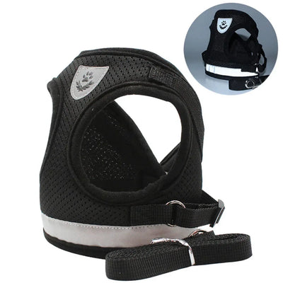 Pawzoa™ SecureFit No-Pull Pet Harness Set