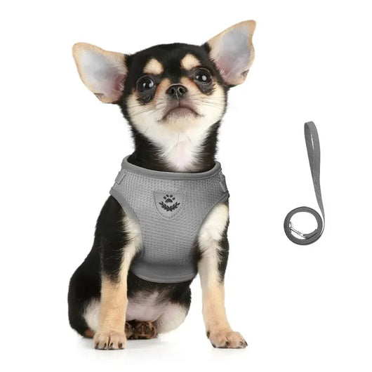 Pawzoa™ SecureFit No-Pull Pet Harness Set