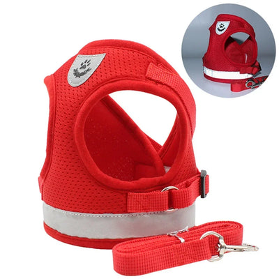 Pawzoa™ SecureFit No-Pull Pet Harness Set